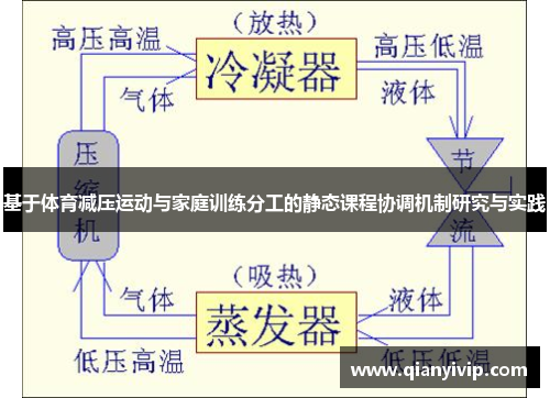 基于体育减压运动与家庭训练分工的静态课程协调机制研究与实践